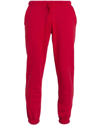Basic Pants