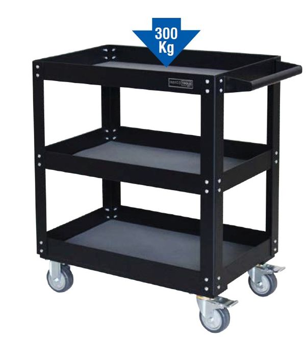 Carrello da magazzino professionale - portata 300kg - DB Professional 