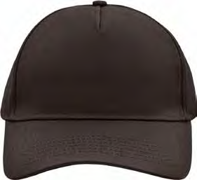 5 Panel Cap