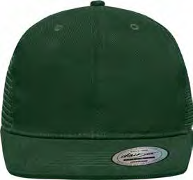 6 Panel Pro Cap Style